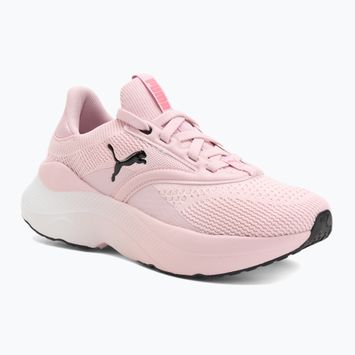 Кросівки для бігу жіночі PUMA Softride Mayve rose mauve/puma black/sun struck
