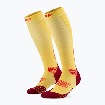 Шкарпетки компресійні чоловічі CEP Run Tall 5.0 marigold/burgundy