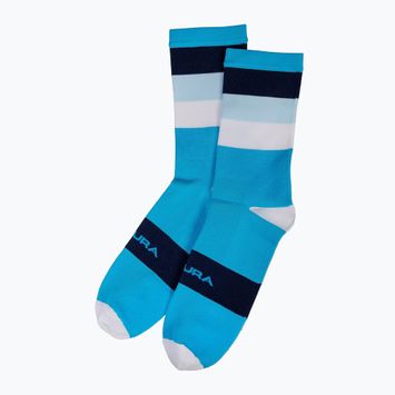 Чоловічі шкарпетки для велоспорту Endura Bandwidth hi-viz сині