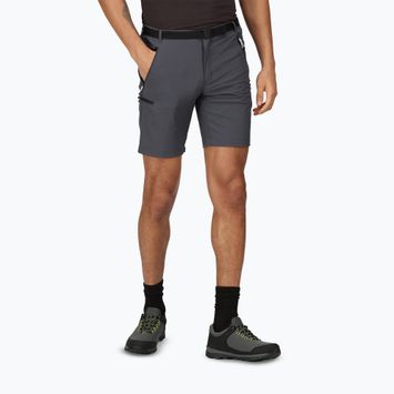 Чоловічі трекінгові шорти Regatta Xert Stretch III seal grey