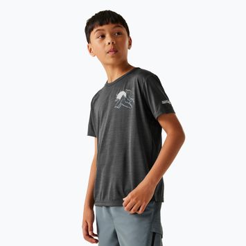 Футболка дитяча REGATTA Alvarado IX seal grey marl