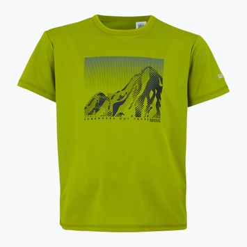 Футболка дитяча REGATTA Alvarado IX grenoble green