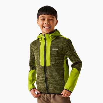 Кофта флісова дитяча REGATTA Dissolver X nephrite green/grenoble green/black