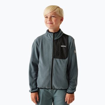 Кофта флісова дитяча REGATTA Frankie Full Zip stormy weather
