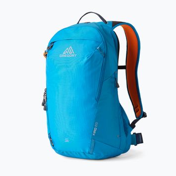 Рюкзак туристичний Gregory Kiro 20 л RC legion blue