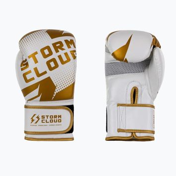 Боксерські рукавиці StormCloud Bolt 3.0 white/gold