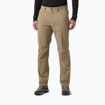 Штани трекінгові чоловічі Helly Hansen Holmen 5 Pocket pebble