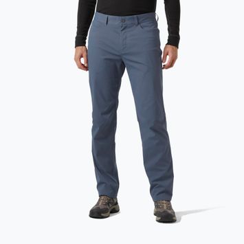 Штани трекінгові чоловічі Helly Hansen Holmen 5 Pocket alpine frost