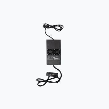 Зарядний пристрій для електричної дошки Radinn Standard charger EU KP чорний 910024AA