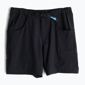 Шорти чоловічі KAVU Chilli H2O black