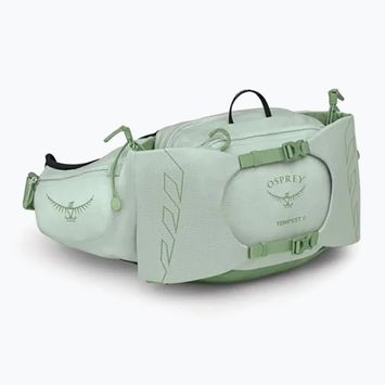 Сумка-бананка Osprey Tempest 6 л frosty mint/ green botanica