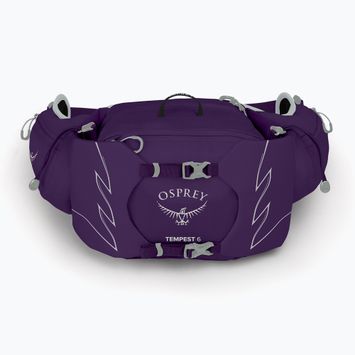 Сумка-бананка жіноча Osprey Tempest 6 л violac purple