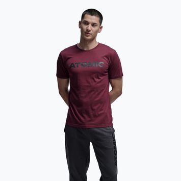 Футболка чоловіча Atomic Alps maroon