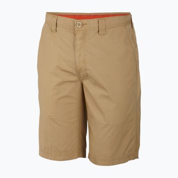 Шорти трекінгові чоловічі Columbia Washed Out crouton