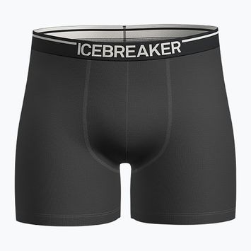Боксерки термічні чоловічі icebreaker Anatomica plume jet heather