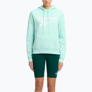 Жіночий світшот Reebok Identity Big Logo Fleece glitch aqua