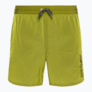 Шорти для плавання чоловічі Oakley All Day B1B 16