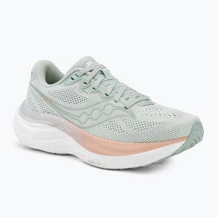 Кросівки для бігу жіночі Saucony Ride 19 mist/cameo