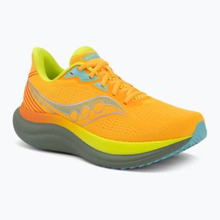 Кросівки для бігу чоловічі Saucony Triumph 23 vizigold/laurel