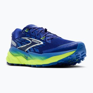 Кросівки для бігу чоловічі Brooks Cascadia 19 surf the web/nightlife/white