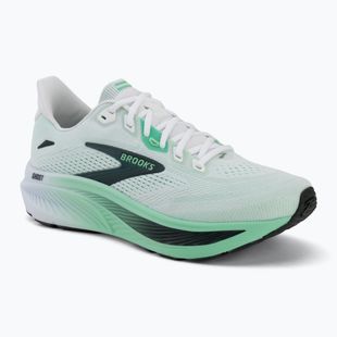 Кросівки для бігу чоловічі Brooks Ghost 18 white/spring bud/spruce