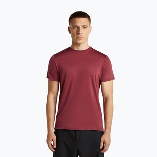 Футболка трекінгова чоловіча icebreaker Merino 125 Cool-Lite Sphere III port