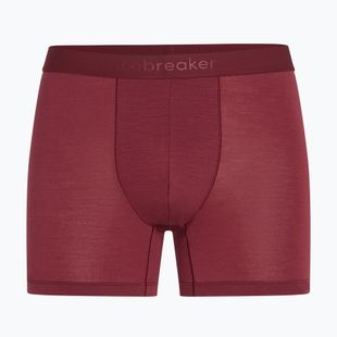 Боксери термоактивні чоловічі icebreaker Anatomica Boxers port