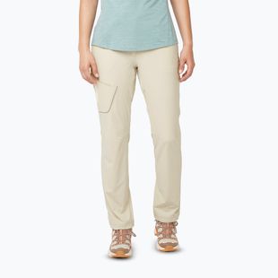 Штани трекінгові жіночі Salomon Wayfarer rainy day