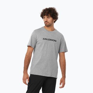 Футболка чоловіча Salomon Logo Performance heather grey