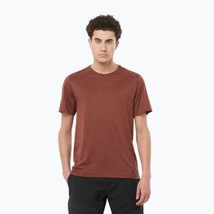 Футболка трекінгова чоловіча Salomon Outline rum raisin