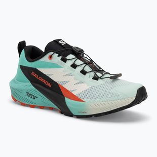 Кросівки для бігу жіночі Salomon Sense Ride 5 bay/black/cherry tomato