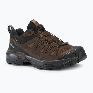 Черевики трекінгові чоловічі Salomon X ULTRA 360 LTR GTX dark earth/delicioso/ sharkskin