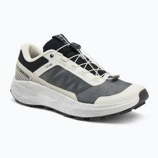 Кросівки для бігу чоловічі Salomon Vision vanilla ice/lunar/rock/black