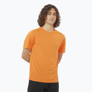 Футболка чоловіча Salomon Outline Tee turmeric