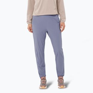 Жіночі трекінгові штани Salomon Wayfarer Ease blue granite