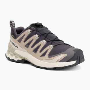 Кросівки для бігу жіночі Salomon XA Pro 3D V9 GTX nine iron/oxford tan