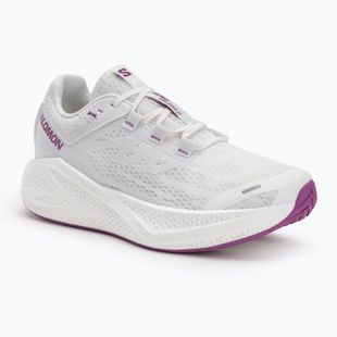 Кросівки для бігу чоловічі Salomon Aero Glide 3 white/white/willowherb