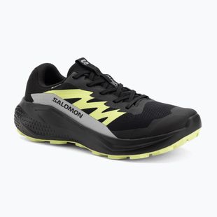 Кросівки для бігу чоловічі Salomon Alphaglide GTX black/alloy/sharp green