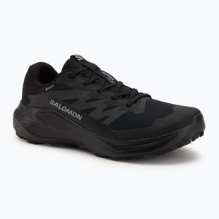 Кросівки для бігу чоловічі Salomon Alphaglide GTX black/asphalt/black