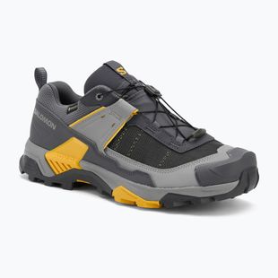 Черевики трекінгові чоловічі Salomon X ULTRA 5 GTX turbulence/monument/spicy mustard