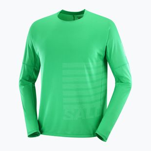 Лонгслів для бігу чоловічий Salomon Sense Aero Tee GFX parakeet/spearmint