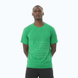 Футболка для бігу чоловіча Salomon Sense Aero Tee GFX parakeet / spearmintme