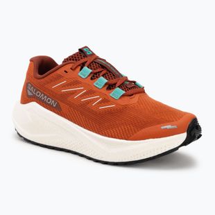 Кросівки для бігу жіночі Salomon Aero Blaze 3 GRVL burnt ochre/vanilla ice
