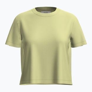 Футболка трекінгова жіноча icebreaker Merino 150 Tech Lite III SS Crop Tee citrine