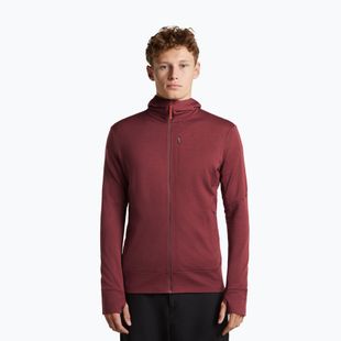 Кофта чоловіча Icebreaker Merino 260 Quantum IV LS Zip Hoodie port/agate