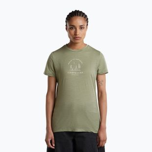 Футболка термічна жіноча Icebreaker Merino 150 Tech Lite Peaceful Pass Lichen
