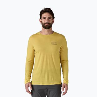 Лонгслів чоловічий Patagonia Cap Cool Merino Blend Graphic fitz roy strata/bundle green