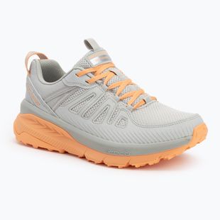 Кросівки жіночі SKECHERS Switch Back Cascades gray