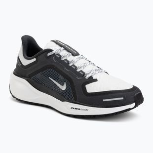 Кросівки для бігу чоловічі Nike Pegasus 41 GTX black/anthracite/iron grey/summit white
