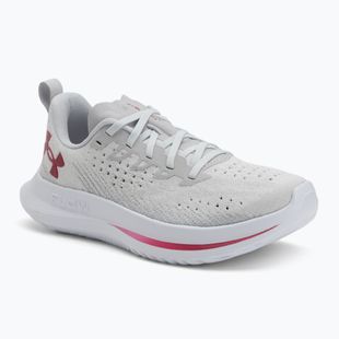 Кросівки для бігу жіночі Under Armour Velociti 4 SE halo gray/mod gray/shaded fuchsia